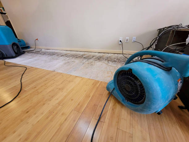 Professional Water Damage Repair technician working in Adamsville, PA